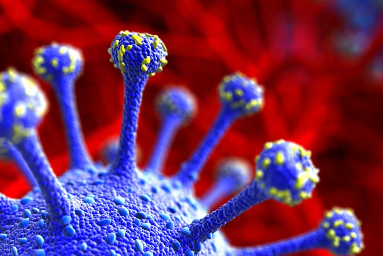 The SARS-CoV-2 virus
