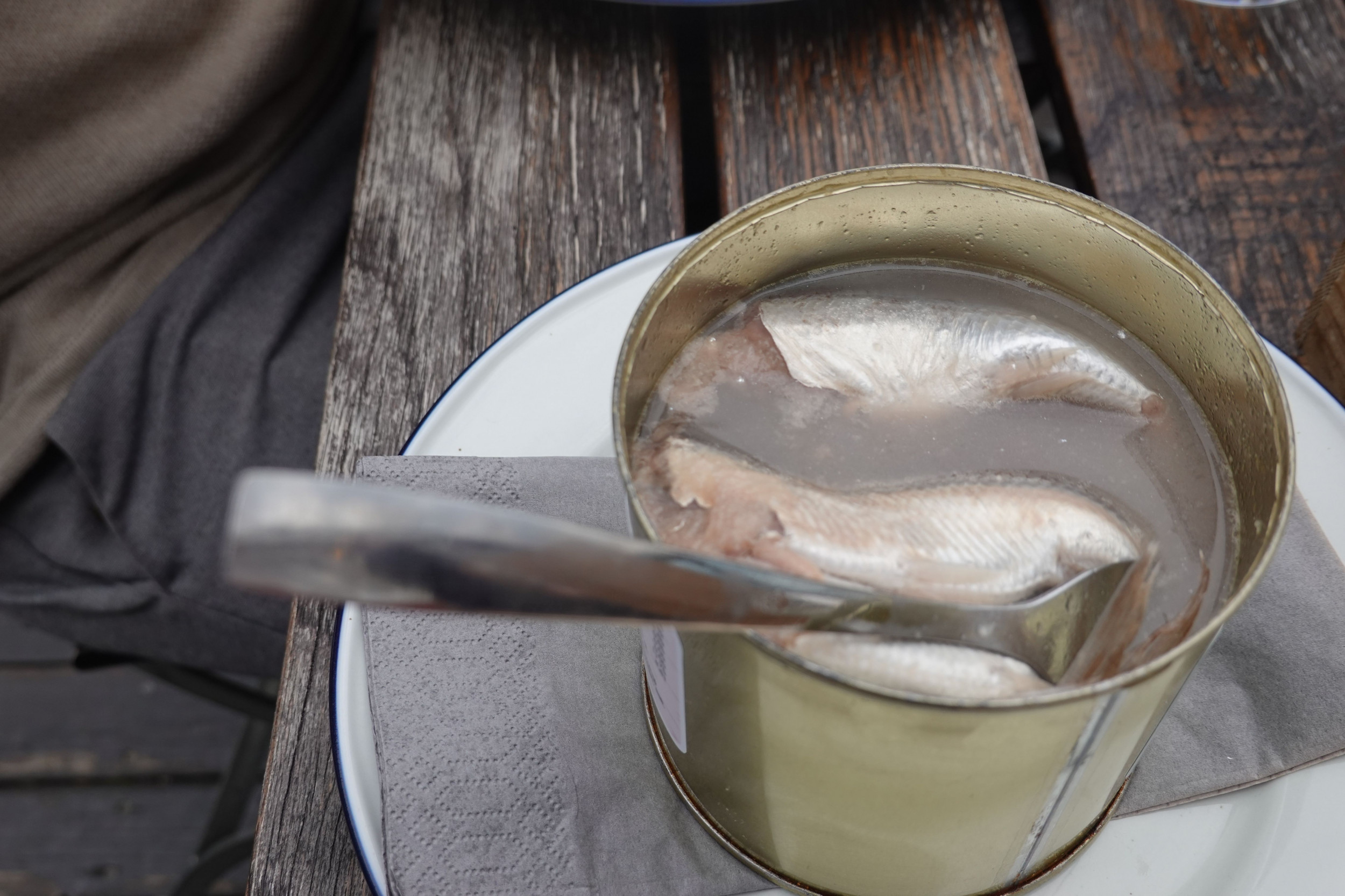 Surströmming is famously disgusting. Here's all we know about it