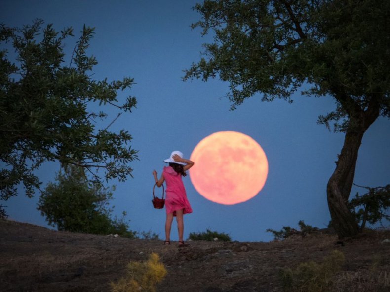 Pink moon
