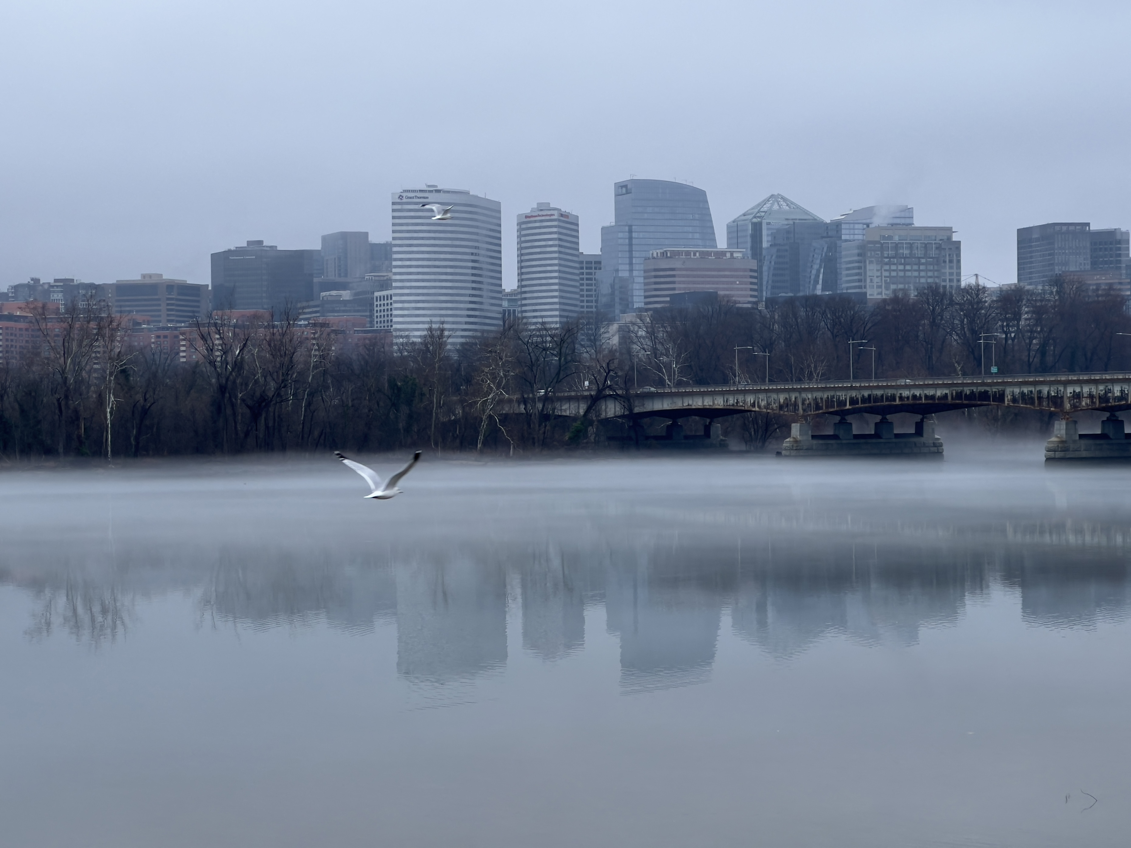 Winter Storm To Blast Eastern U.S. With Up To 12 Inches Of Snow - Newsweek