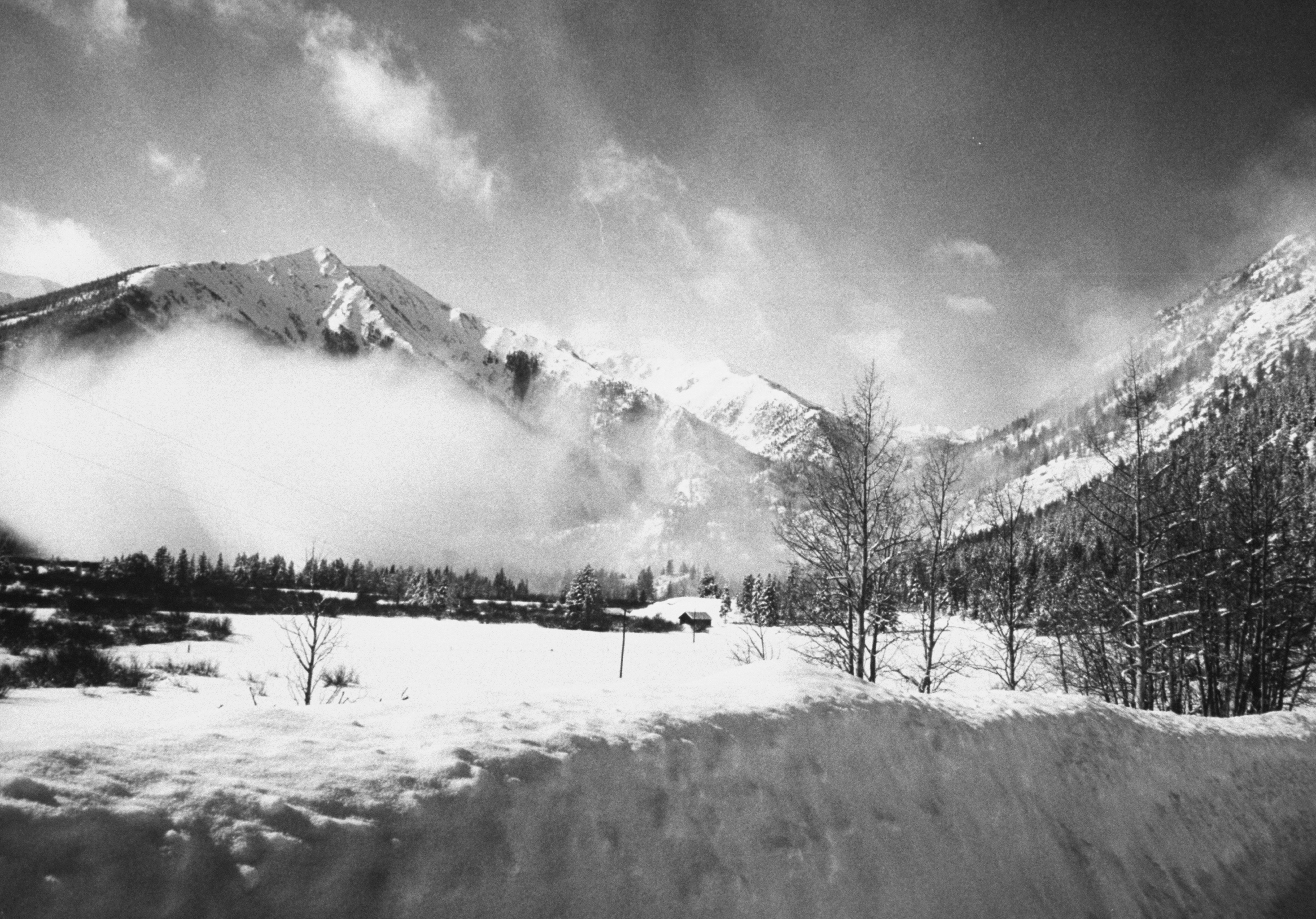 VIDEO: College students rescue dog buried in Colorado avalanche