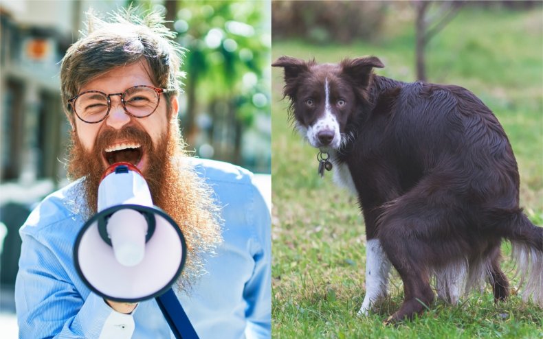 A man, a megaphone and a dog.