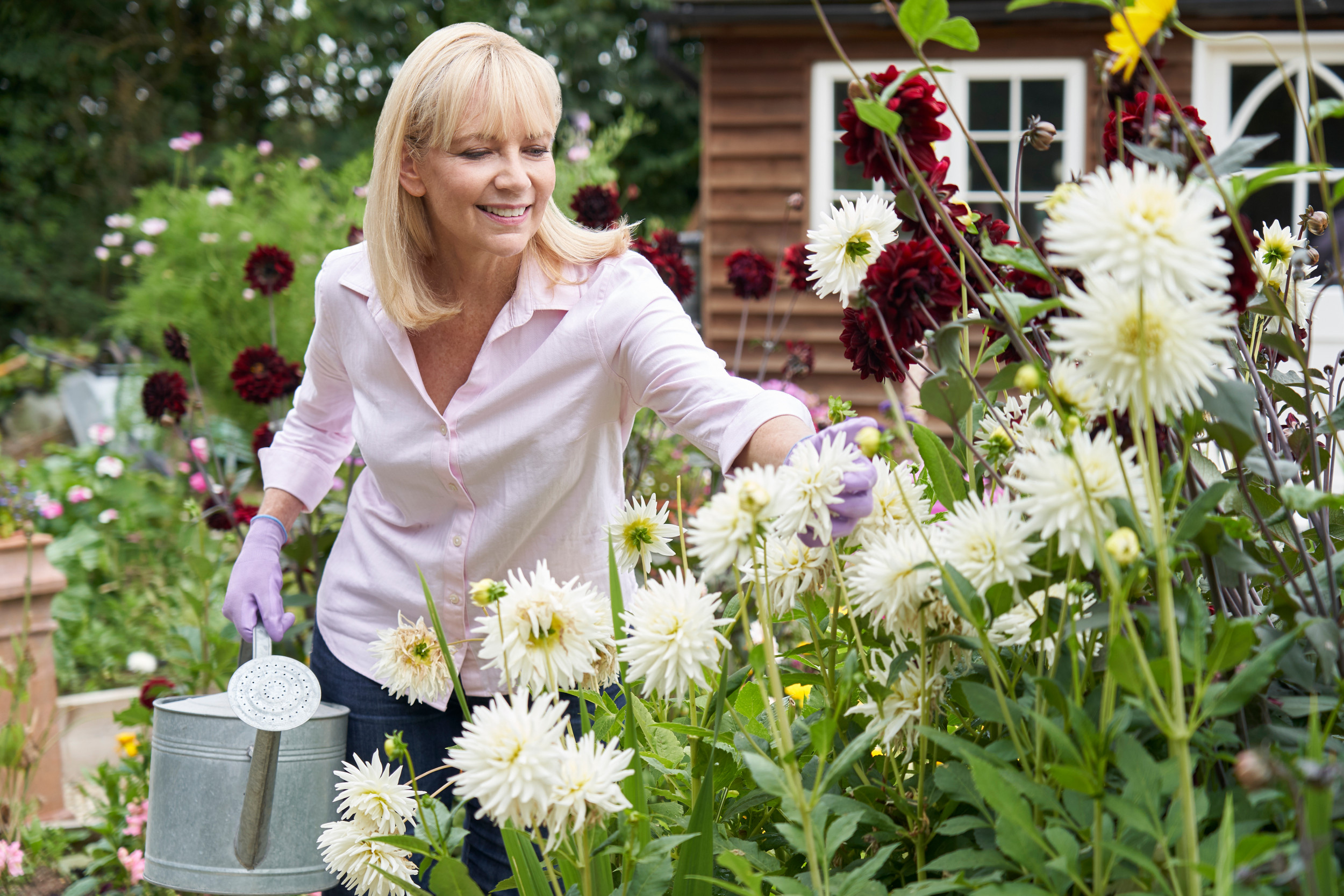 woman gardening