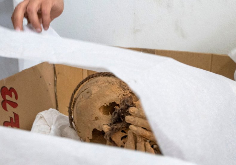 Mummy found in Peru