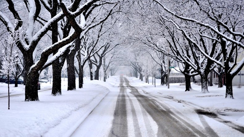snow, road, trees