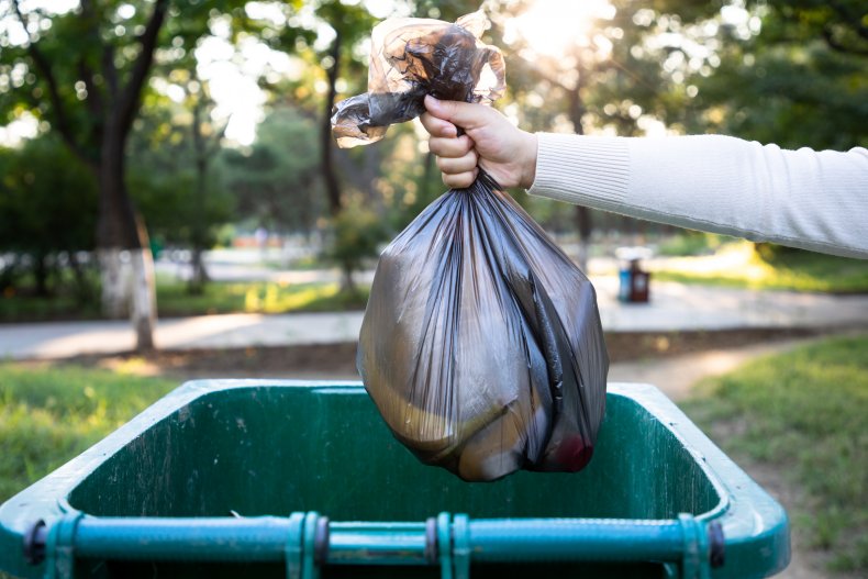 Thrown away food