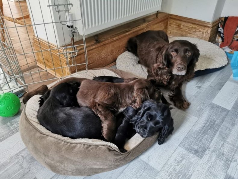 Cassie and friends