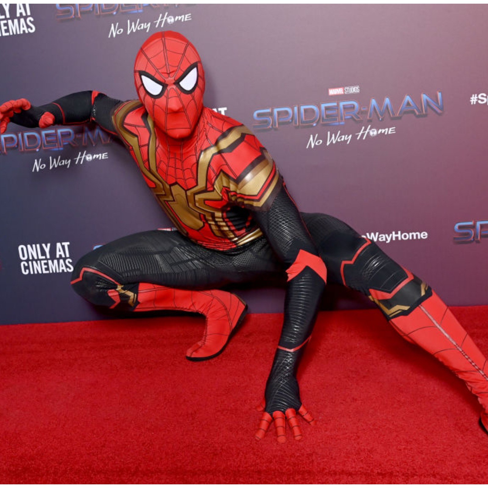 Disney's Animatronic Spider-Man Is so Convincing People Believe It Is a  Real Person