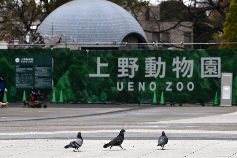 Ueno Zoo