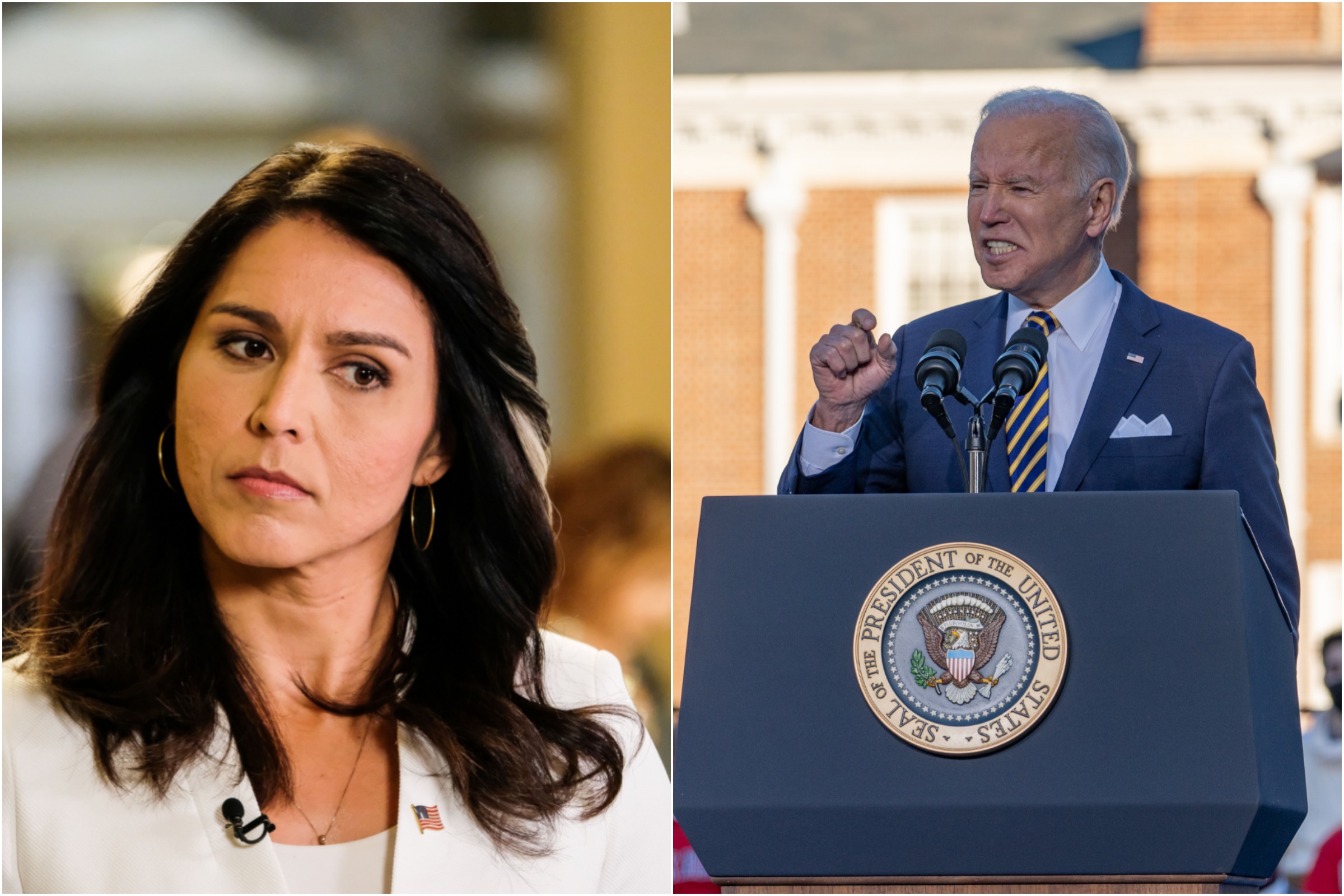 Tulsi Gabbard Says Biden Speech Worse Than Clinton's 'Deplorables' Comment