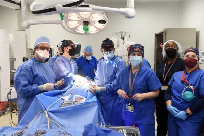 Surgery Team For The Pig Heart Transplant