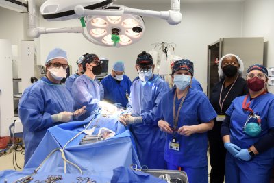 Surgery Team For The Pig Heart Transplant Surgery Team For The Pig Heart Transplant