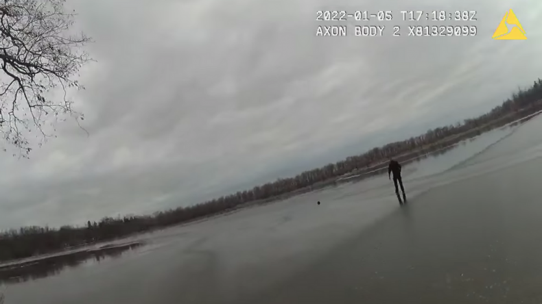Stranded Labrador