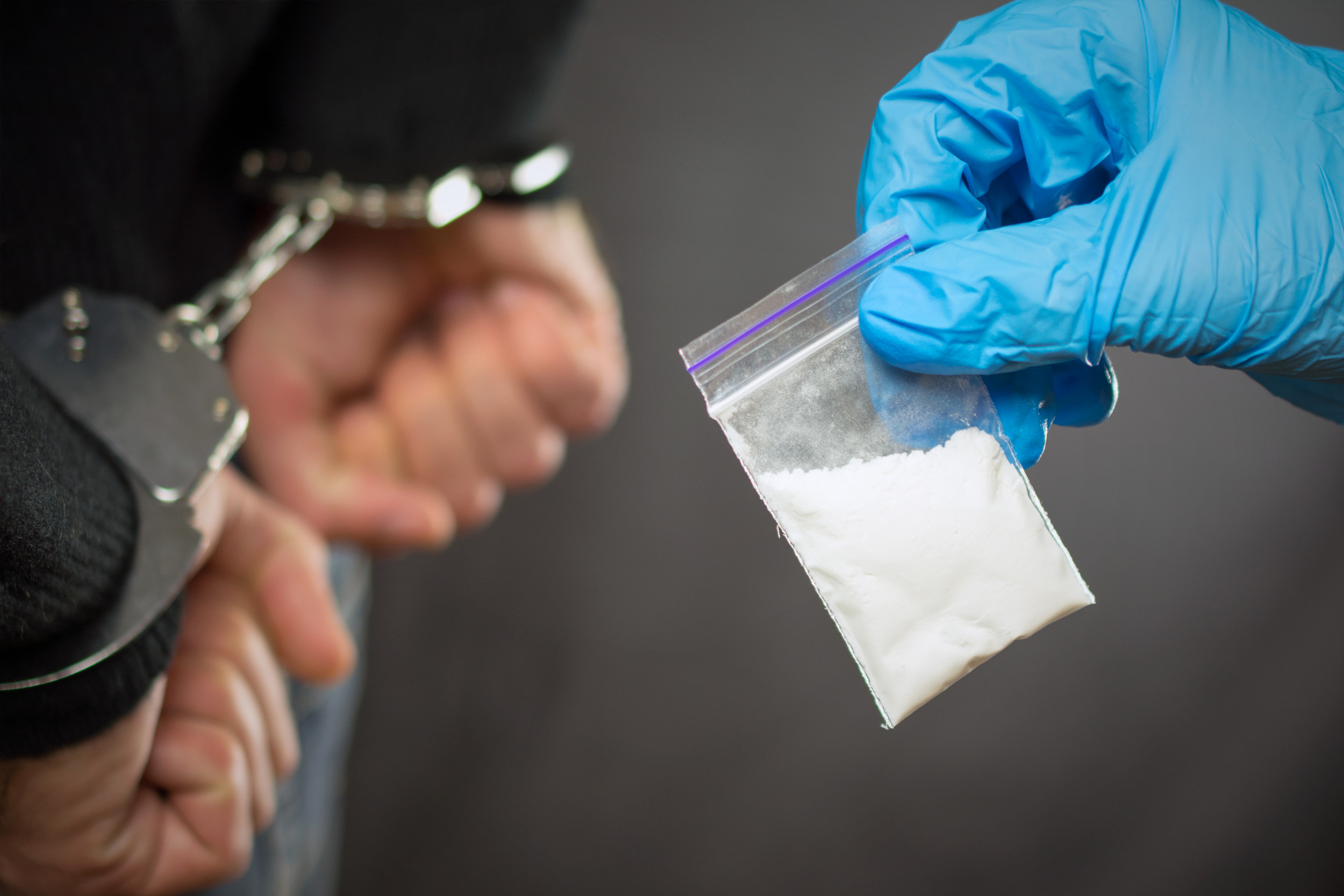 Picture - Drug Kingpin Hid $224 Million Cocaine Empire in Suburban House