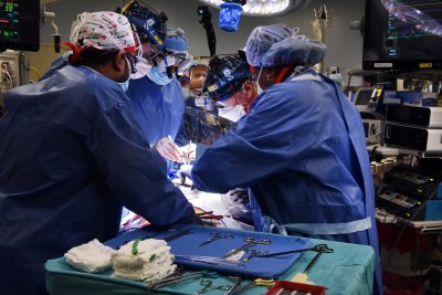 Surgery Team For The Pig Heart Transplant Surgery Team For The Pig Heart Transplant