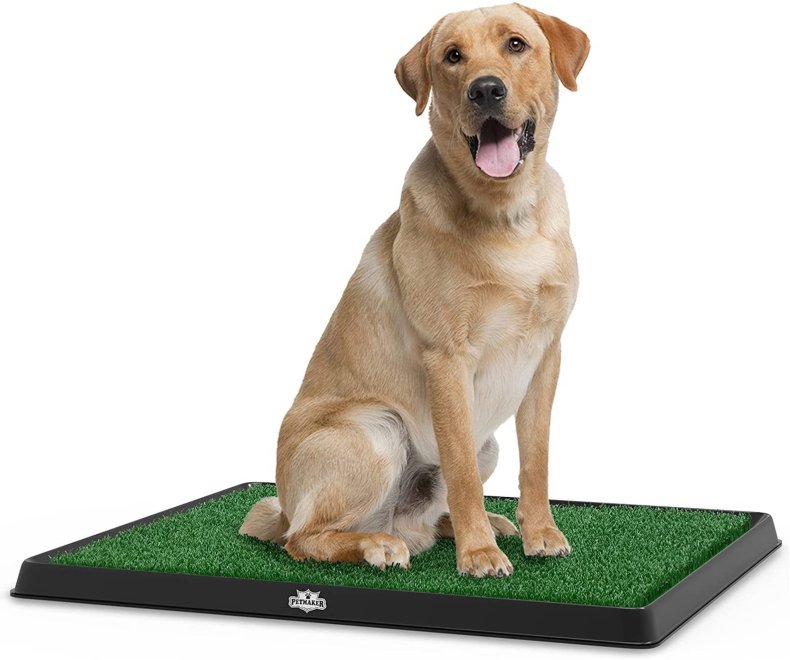 مجموعه Petmaker Puppy Pad