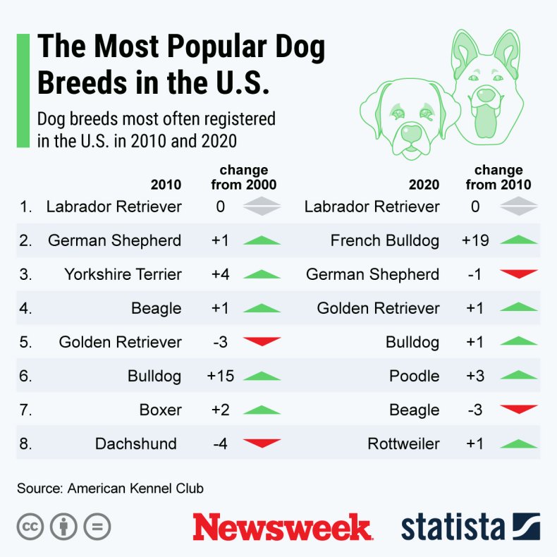 Popular dog breeds