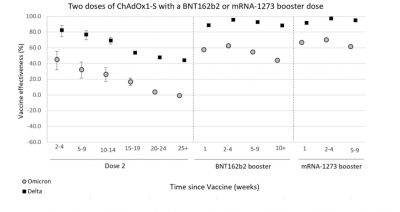 HSA vaccine graph HSA vaccine graph