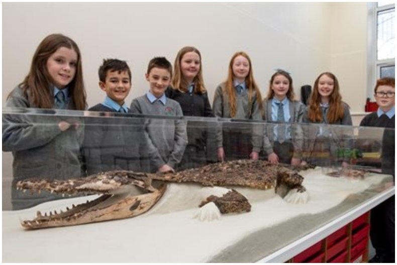 Children stood in front of crocodile 