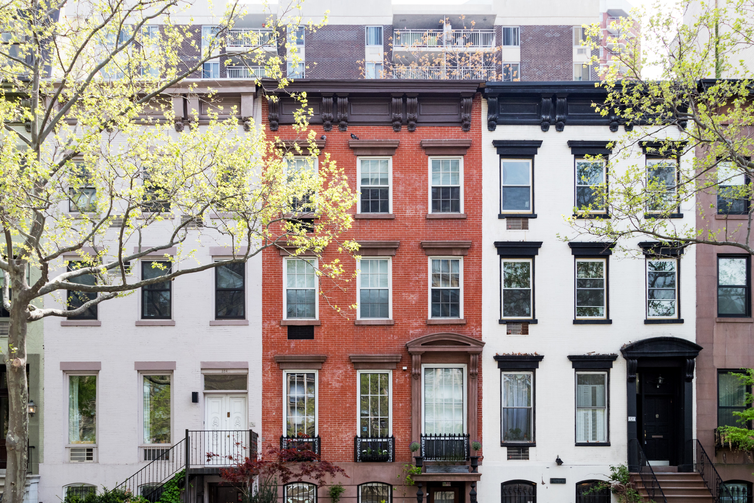 Comedian Challenges TikToker With 'Smallest Apartment in New York': 'You Have a Closet?' - Vimarsana News