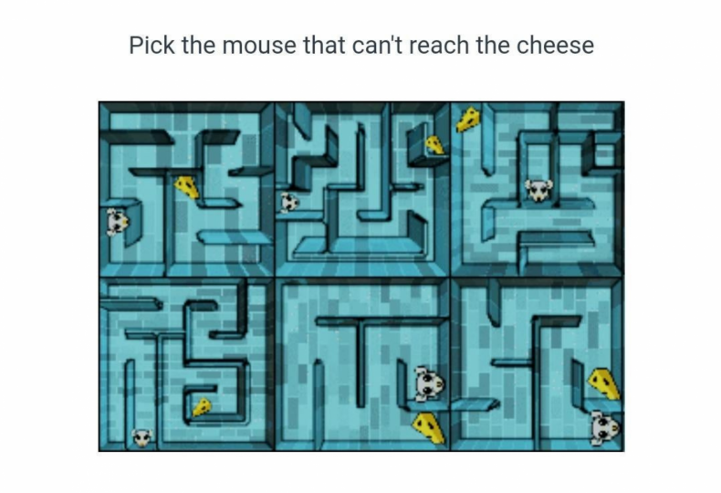 PlayStation Mouse and Cheese CAPTCHA Test