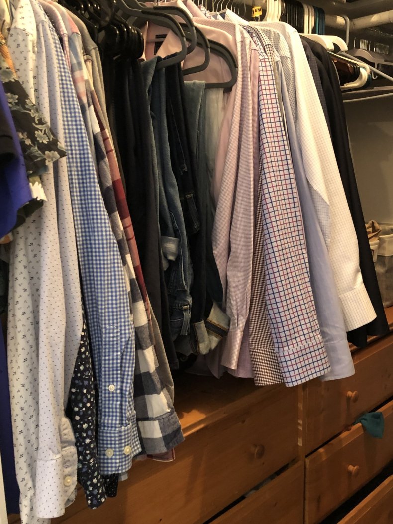 Photo of Franklin the cat in closet.