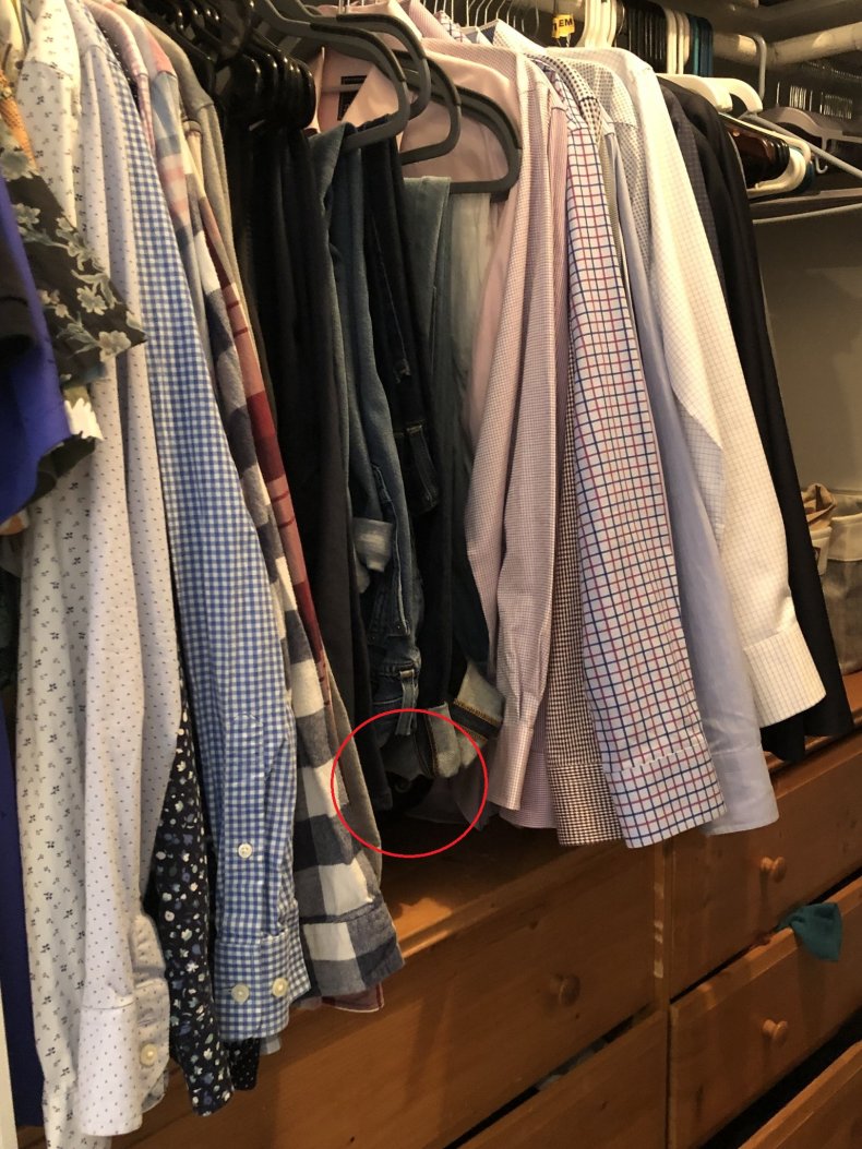 Photo of Franklin the cat in closet.