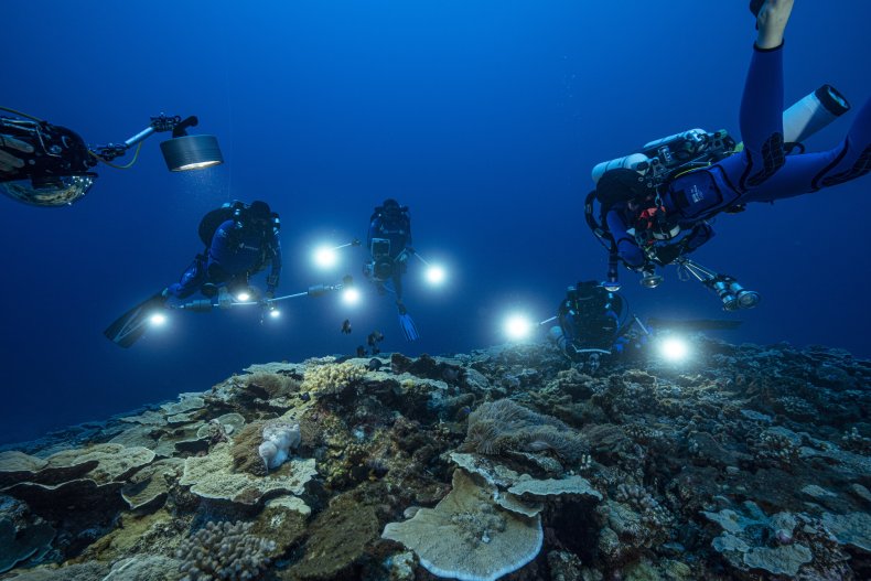 Coral Reef Tahiti