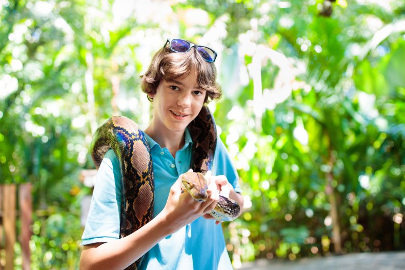 A boy holding a large snake.