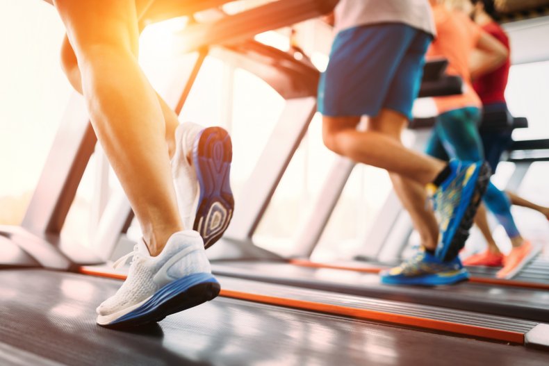 A group of people running on treadmills.