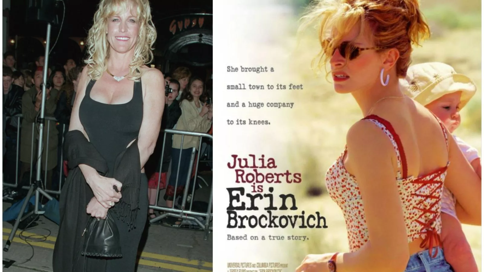 Fan Notices Incredible Easter Egg in Movie Erin Brockovich Erinception Newsweek