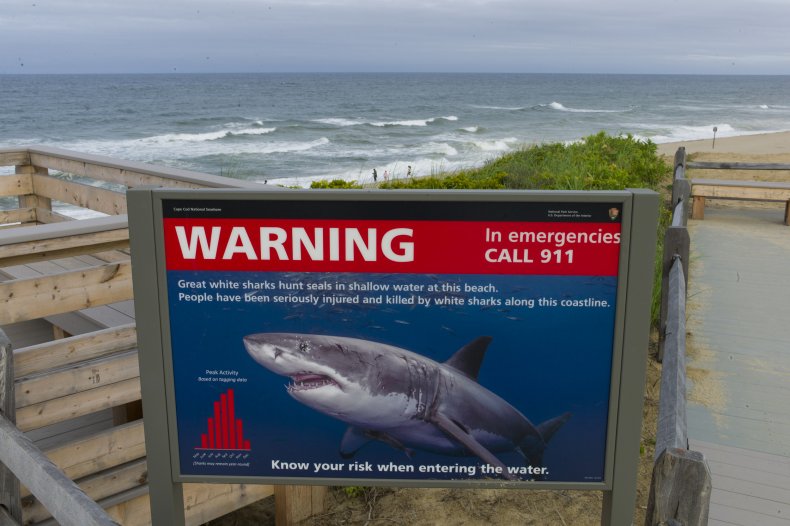 Shark warning at Cape Cod