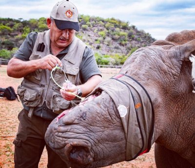 Crying rhino Crying rhino