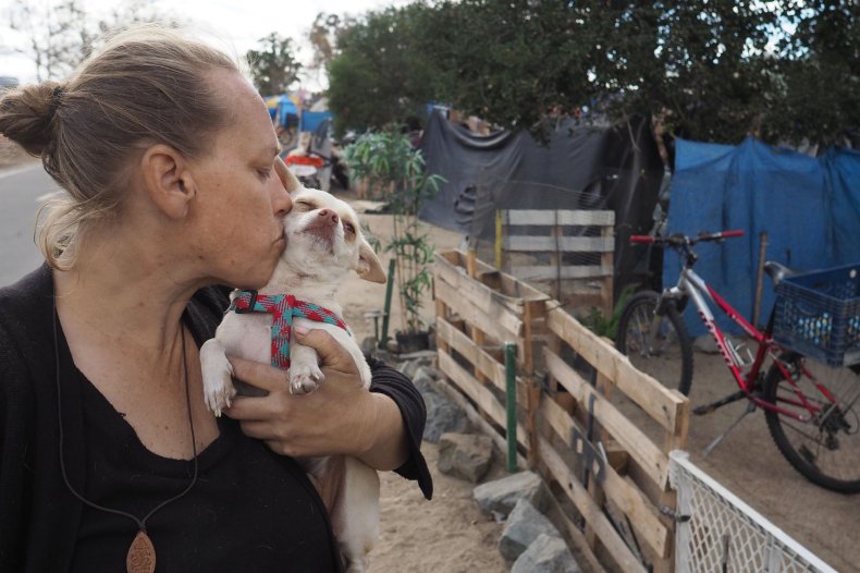 california homeless pets