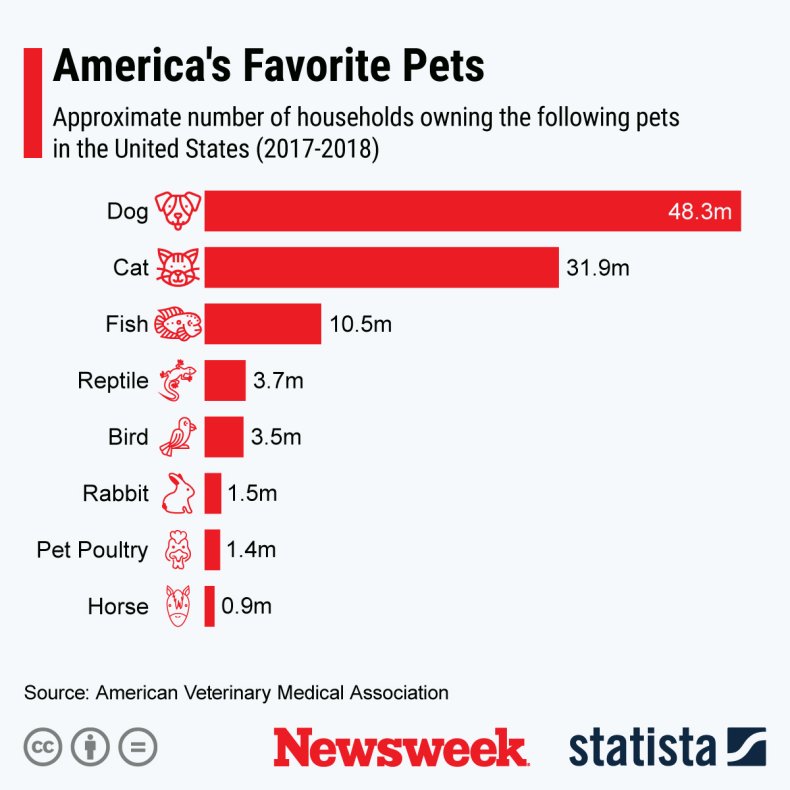 America's favorite pets