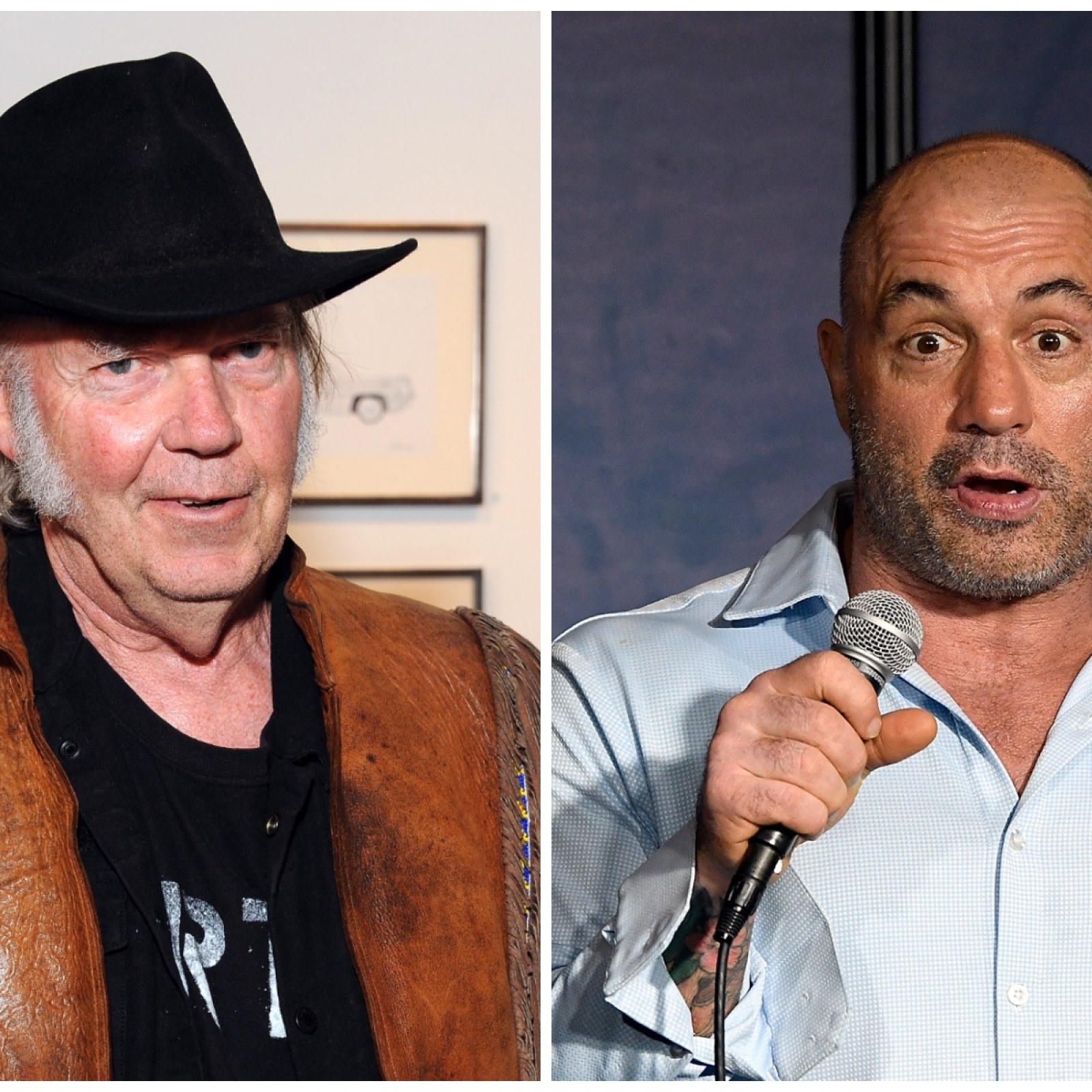 Young Rogan Joe Rogan Young