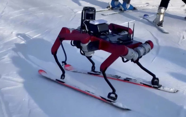 Shanghai Jiao Tong University's skiing robot