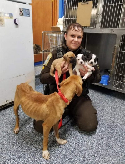 سگ ها از خانه ویرجینیا نجات یافتند