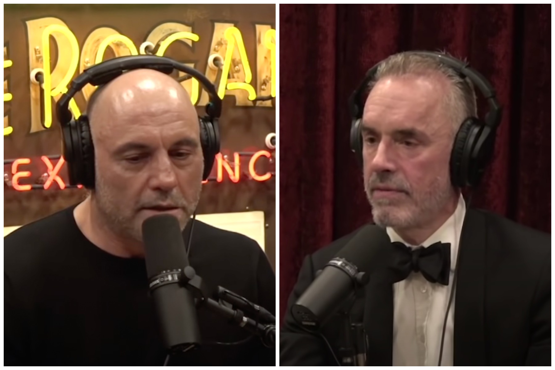 Joe rogan jordan peterson 1933