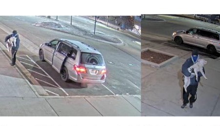 Shelter Kennel Looking for Person Who Dropped Off Severely Sick Dog That Died Within Hours