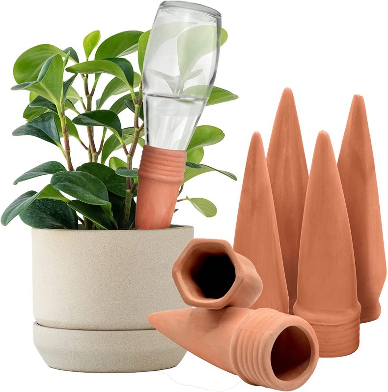 Terracotta watering for plants