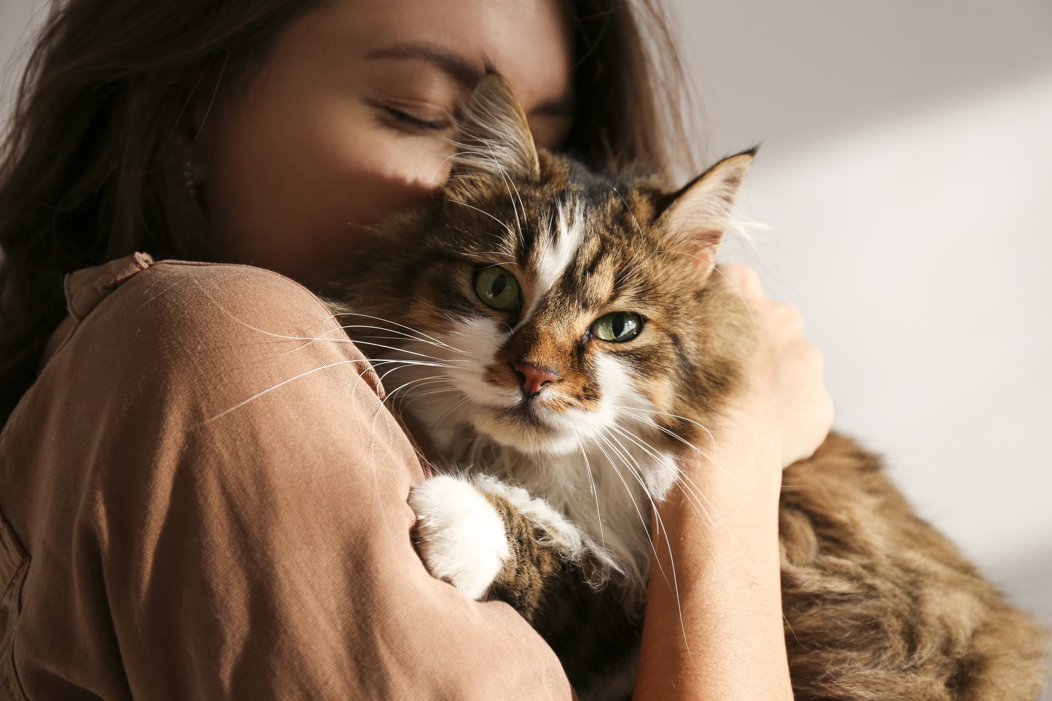 Can cats love a person?