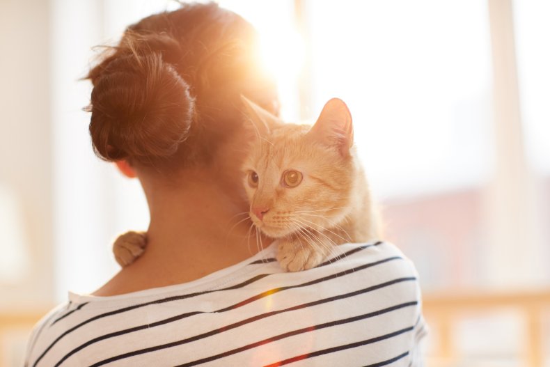 cats show love in many ways