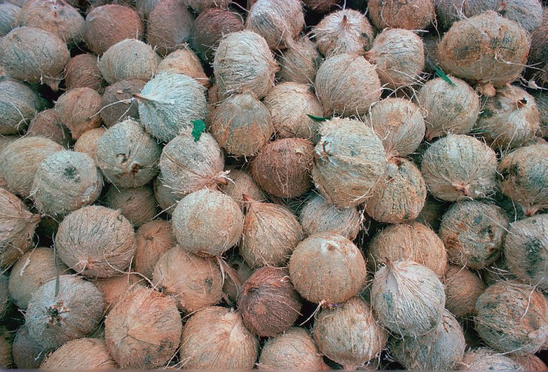 Pile of coconuts