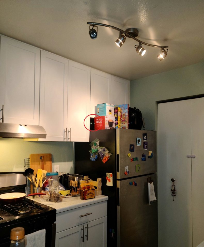 Photo of a kitchen with hidden cat.