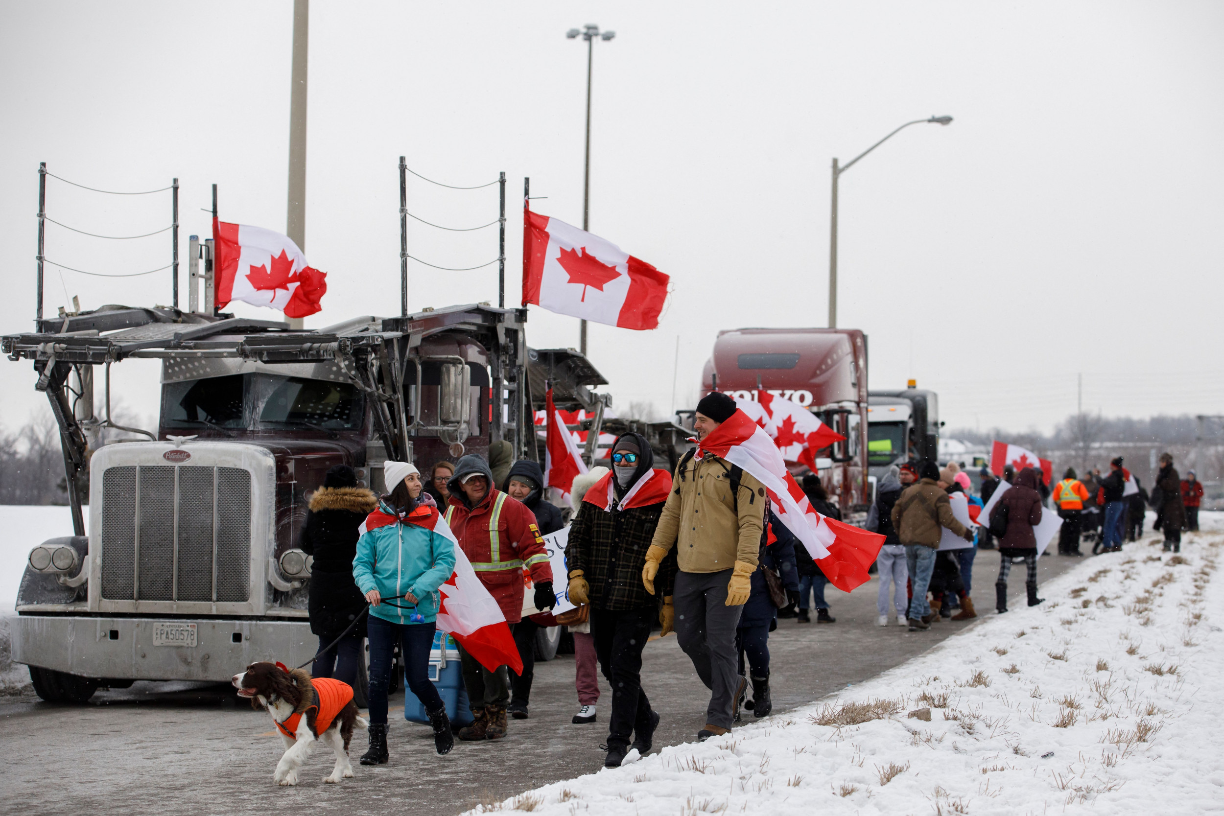 Canada Trucker Protests Explained How 'Freedom Convoy' Became Symbol