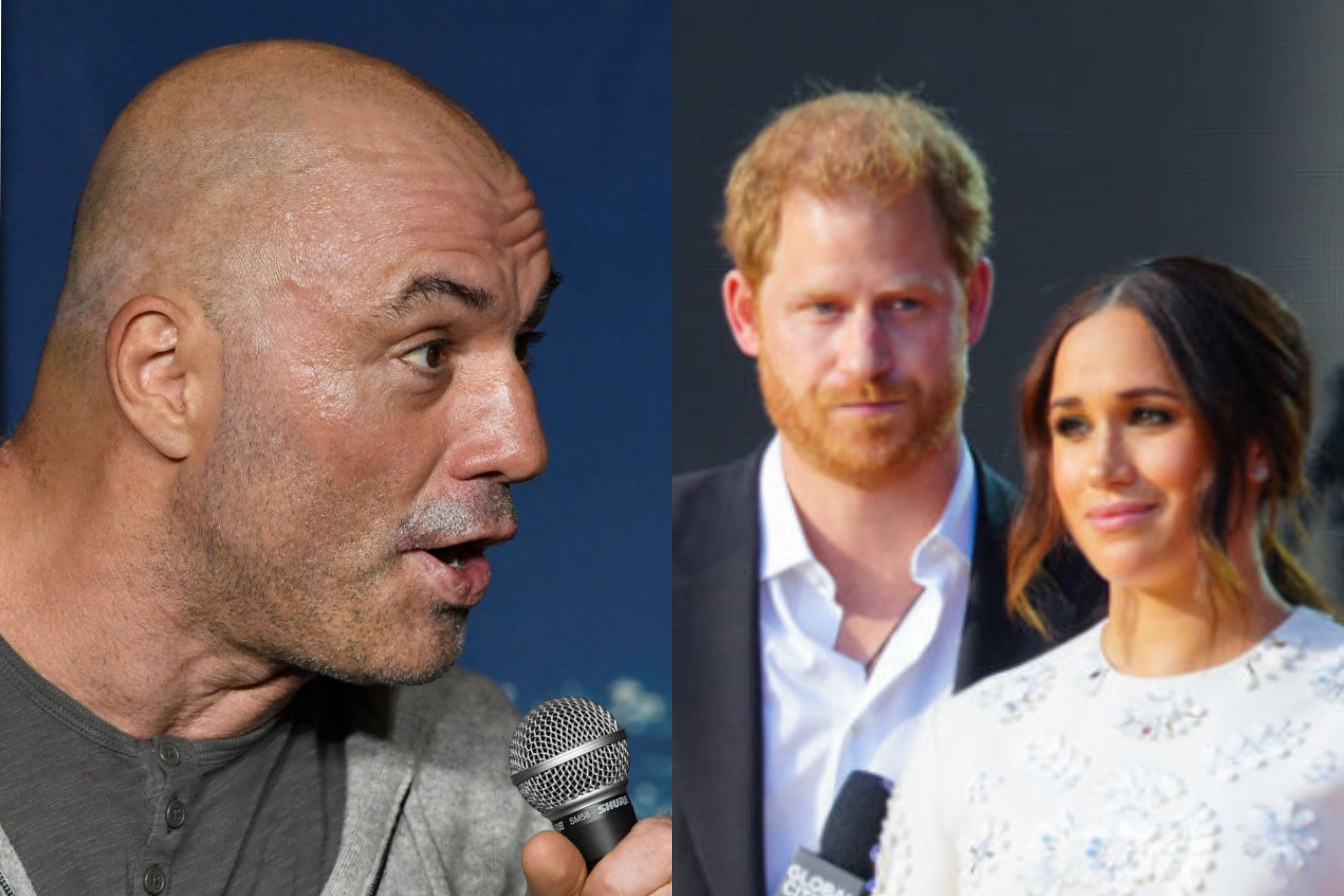 Prince Harry and Meghan Markle Praised by Scientist Who Called Joe Rogan 'Menace'