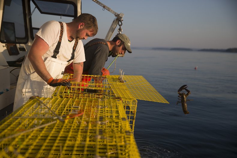 Maine Lobster FIshermen