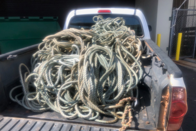 Fishing equipment taken from humpback whale Fishing equipment taken from humpback whale