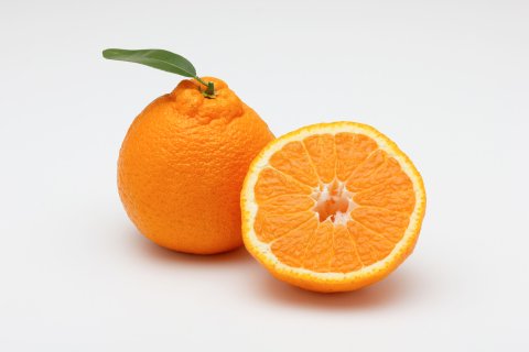 CUL Map Immune Boosting Foods 05